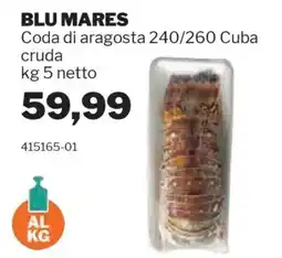 GrosMarket BLU MARES Coda di aragosta 240/260 Cuba cruda offerta