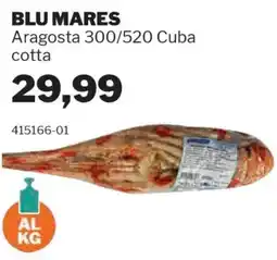 GrosMarket BLU MARES Aragosta 300/520 Cuba cotta offerta