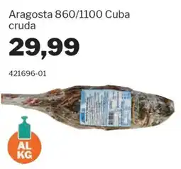 GrosMarket Aragosta 860/1100 Cuba cruda offerta