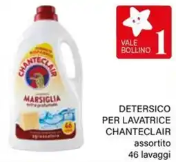 Il Gigante Detersico per lavatrice CHANTECLAIR offerta