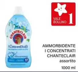 Il Gigante Ammorbidente i concentrati CHANTECLAIR offerta