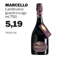 GrosMarket MARCELLO Lambrusco grand cru igp offerta