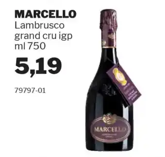 GrosMarket MARCELLO Lambrusco grand cru igp offerta