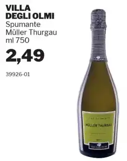 GrosMarket VILLA DEGLI OLMI Spumante Müller Thurgau offerta