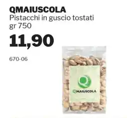 GrosMarket QMAIUSCOLA Pistacchi in guscio tostati offerta