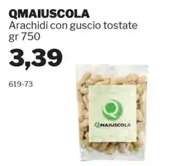 GrosMarket QMAIUSCOLA Arachidi con guscio tostate offerta