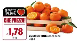 Il Gigante CLEMENTINE senza semi Cat. I offerta