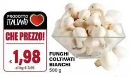 Il Gigante Funghi coltivati bianchi offerta
