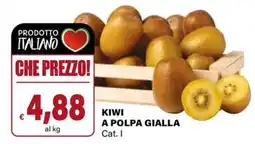 Il Gigante Kiwi a polpa gialla cat. i offerta