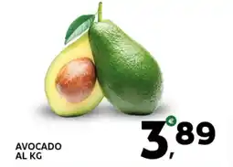 Extra Supermercati Avocado offerta