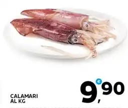 Extra Supermercati Calamari offerta