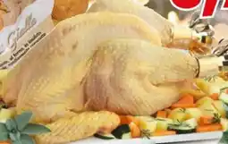 MEGA CAPPONE BUSTO confezionato offerta