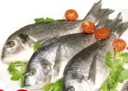 MEGA ORATA 400/600 fresca offerta