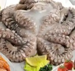 MEGA POLPO MEDIO decongelato offerta