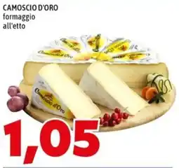 MEGA CAMOSCIO D'ORO formaggio offerta