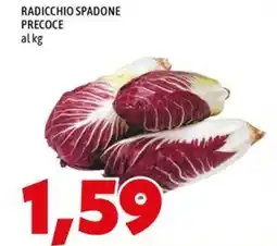 MEGA Radicchio spadone precoce offerta