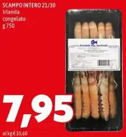 MEGA SCAMPO INTERO 21/30 Irlanda congelato offerta