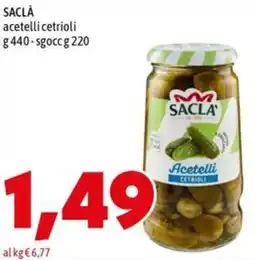 MEGA SACLÀ acetelli cetrioli offerta