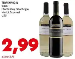 MEGA TERRE NARDIN vini IGT Chardonnay, Pinot Grigio, Merlot, Cabernet offerta