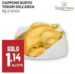 Pam Cappone busto TESORI DELL'ARCA offerta