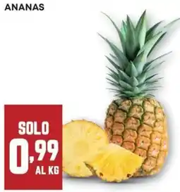 Pam Ananas offerta