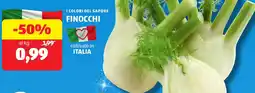 ALDI I colori del sapore finocchi offerta