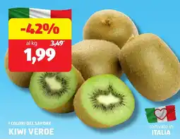 ALDI I colori del sapore kiwi verde offerta