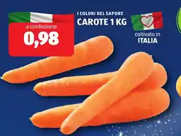 ALDI I colori del sapore carote offerta