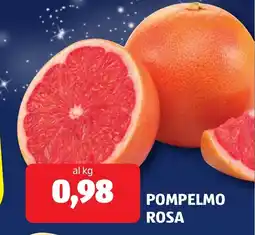 ALDI Pompelmo rosa offerta