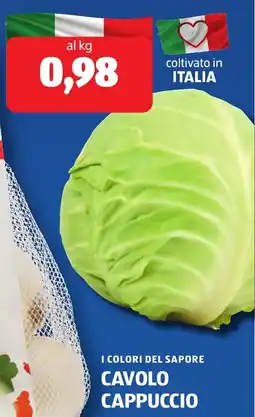 ALDI I colori del sapore cavolo cappuccio offerta