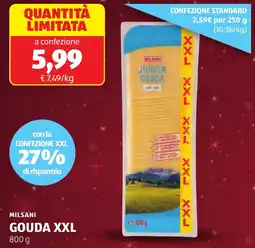 ALDI Milsani gouda XXL offerta