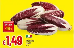 Famila RADICCHIO LUNGO offerta