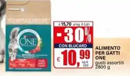 Il Gigante Alimento per gatti ONE offerta