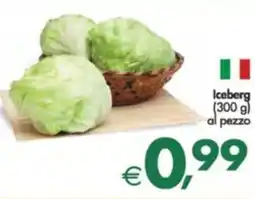 Deco Supermercati Iceberg offerta
