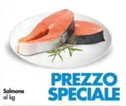 Deco Supermercati Salmone offerta