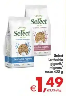Deco Supermercati Select Lenticchie giganti mignon/ rosse offerta