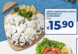 Bennet Seppia indopacifica pulita decongelata maremosso offerta