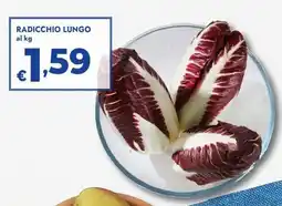 Bennet Radicchio lungo offerta