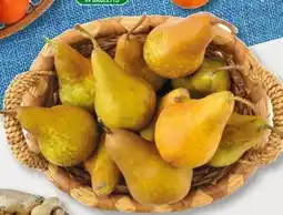 Bennet Pere kaiser offerta