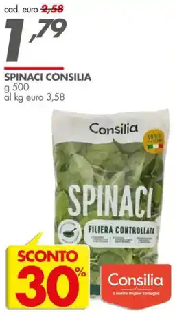 Italmark Spinaci CONSILIA offerta