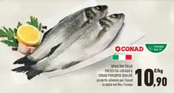 Conad Superstore Branzino italia fresco da 400/600 g conad percorso qualità offerta