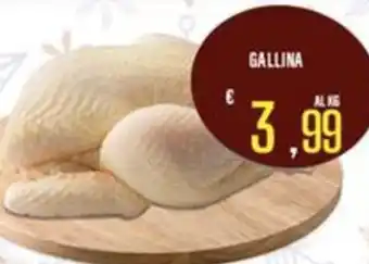 Supermercati EffePiù Gallina offerta