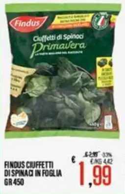 Supermercati EffePiù Findus ciuffetti di spinaci in foglia offerta