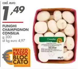 Italmark Funghi champignon CONSILIA offerta
