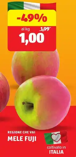 ALDI Regione che vai mele fuji offerta