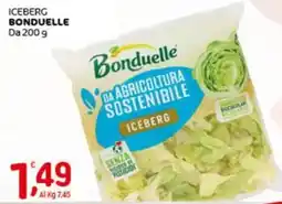 Crai Iceberg BONDUELLE offerta