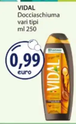 Acqua & Sapone VIDAL offerta