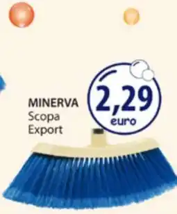 Acqua & Sapone MINERVA Scopa Export offerta