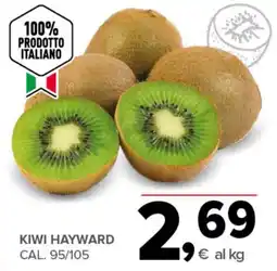 Todis Kiwi HAYWARD offerta