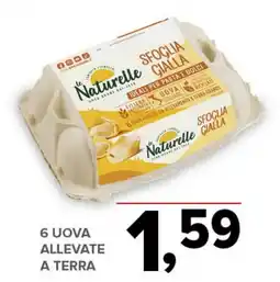 Todis 6 uova allevate a terraLe Naturelle offerta